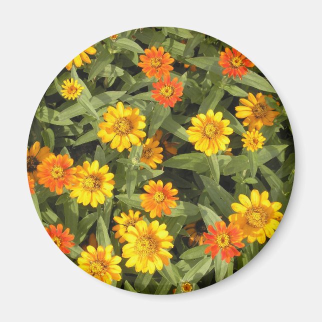 Nature's Bouquet: Fall magnet (Front)