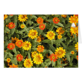 Nature's Bouquet Series (Fall)