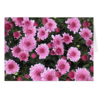 Nature's Bouquet Series (Spring)