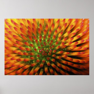 Nature's Candy Corn fine art print