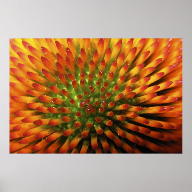 Nature's Candy Corn fine art print (Front)