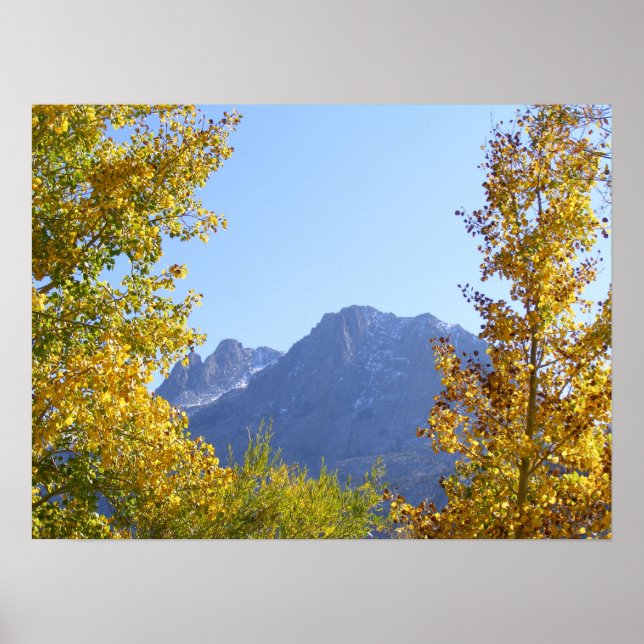 Nature's Canvas Poster (Front)