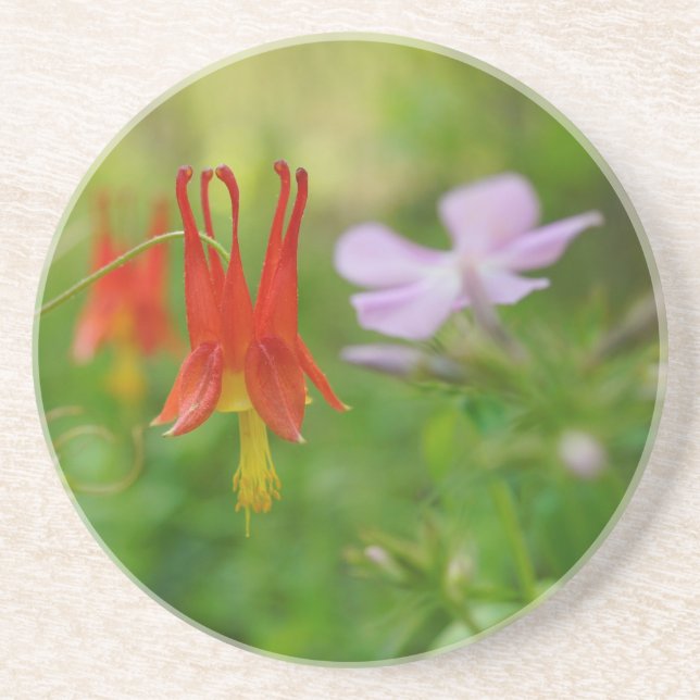 Nature's Crown Coaster (Front)