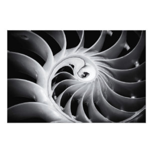 Nature's Design Photo Print