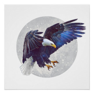 Nature's Drone Poster