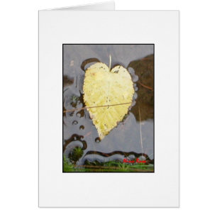 Nature's Heart