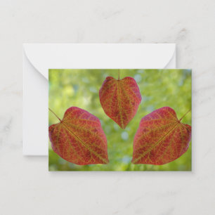 Nature's Leaves of Love Card