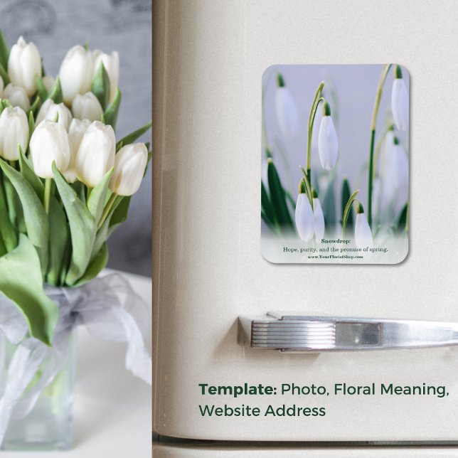 Nature's Lesson: Snowdrop Educational Fridge Magnet (Nature's Lesson: Snowdrop Educational Fridge Magnet)