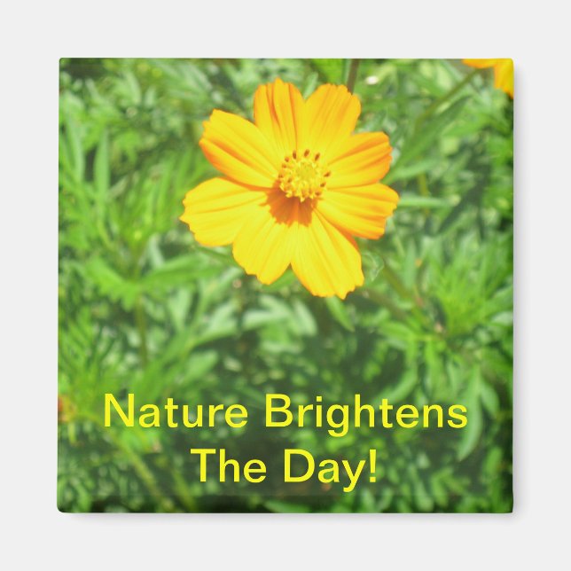 Natures Magnet (Front)