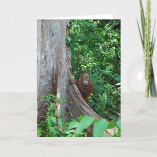 Nature's Original Tree Hugger in Rain Forest Card
