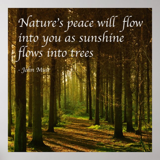 'Nature's peace will flow into you' J Muir quote  Poster (Front)