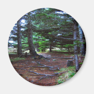Nature's Stairway Magnet