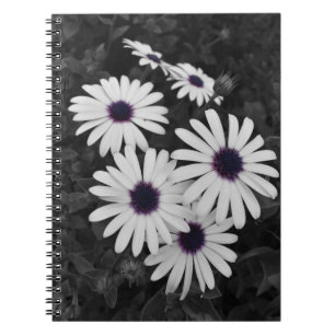 Nature's Subtle Contrast Notebook