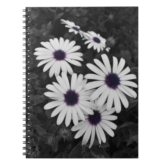 Nature's Subtle Contrast Notebook (Front)