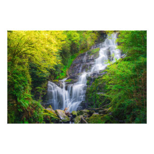 Nature's Symphony: The Cascades of Killarney Photo Print