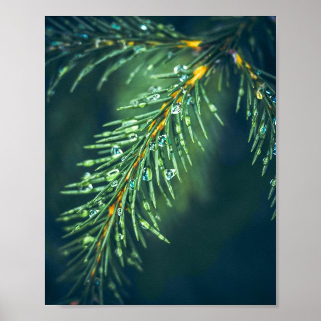 Nature's Tapestry: Capturing the Beauty of Leaves Poster (Front)