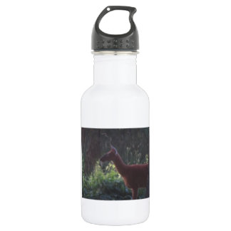 Natures Thirst 532 Ml Water Bottle