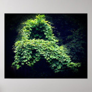 Nature's Throne Wild Leafy Vines Poster