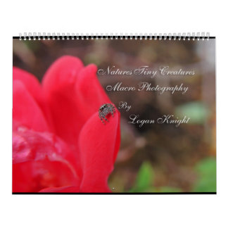 Natures Tiny Creatures Macro Photography Calendar