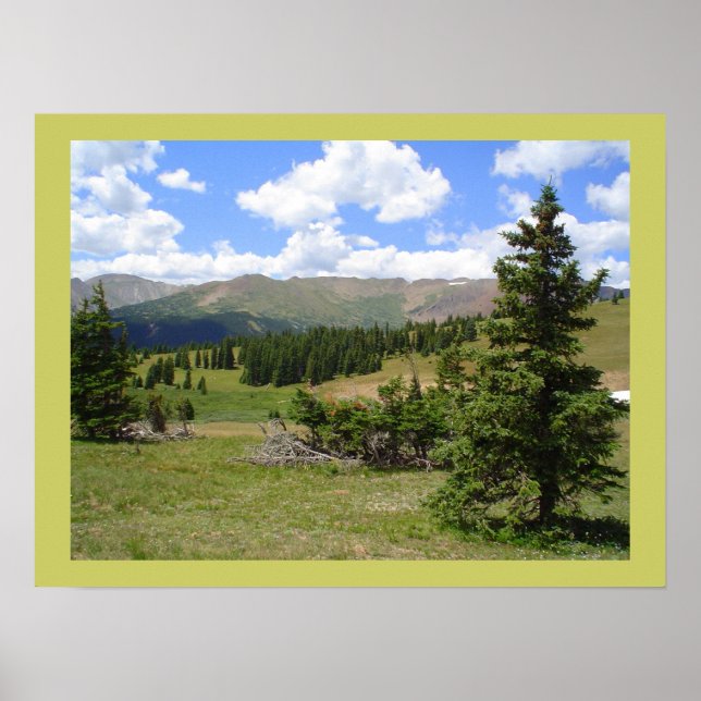 Natures View Poster (Front)