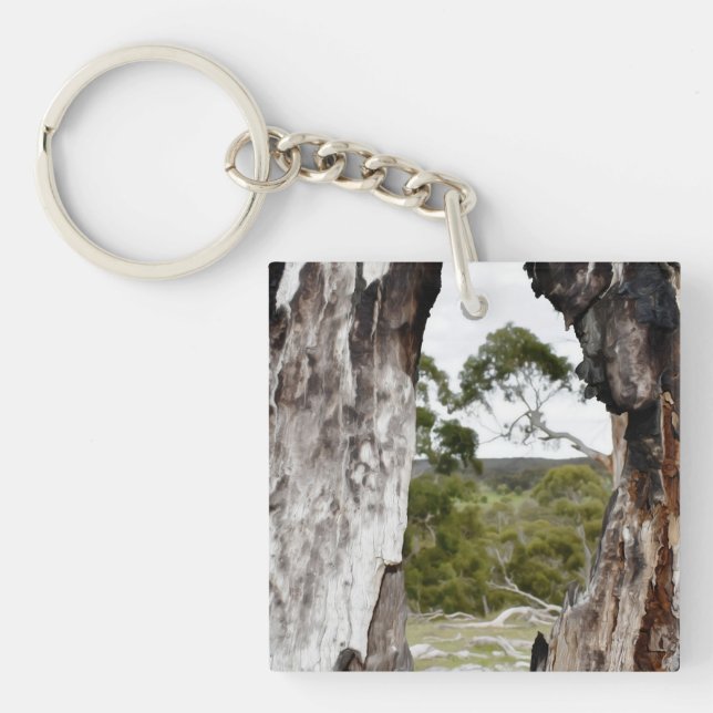 Nature's Window  Keychain (Front)