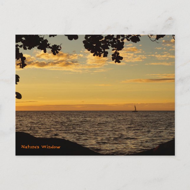 Nature's Window Postcard (Front)