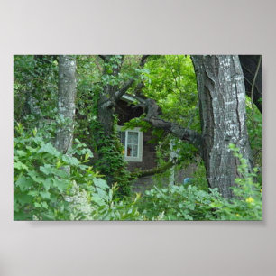 Nature's Window Poster