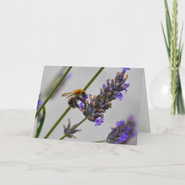 Natures Wonderful Workers Card (Front)