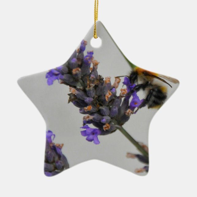 Natures Wonderful Workers Ceramic Ornament (Front)