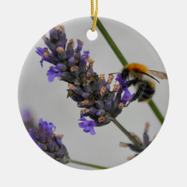 Natures Wonderful Workers Ceramic Ornament (Front)