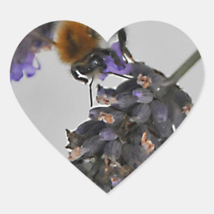 Natures Wonderful Workers Heart Sticker
