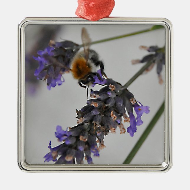 Natures Wonderful Workers Metal Ornament (Front)