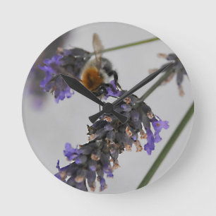 Natures Wonderful Workers Round Clock