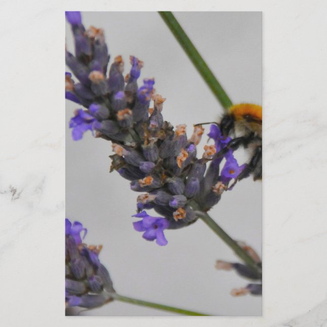 Natures Wonderful Workers Stationery (Front)