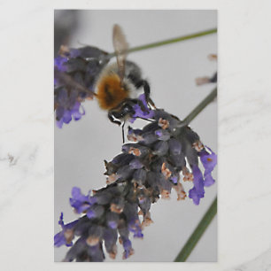 Natures Wonderful Workers Stationery