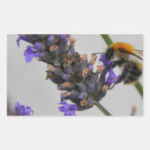 Natures Wonderful Workers Sticker