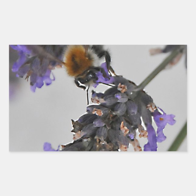 Natures Wonderful Workers Sticker (Front)