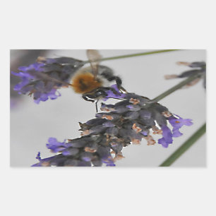 Natures Wonderful Workers Sticker