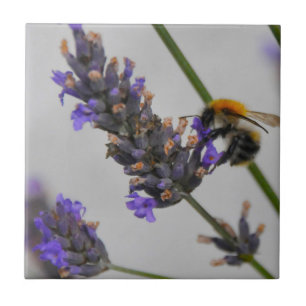 Natures Wonderful Workers Tile