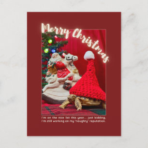Naughty and Cute Christmas Baby Turtle with Santa Postcard