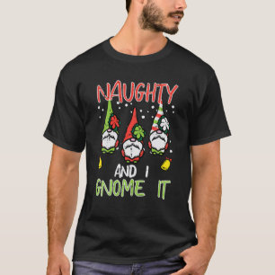 Naughty And I Gnome It Funny Nordic Christmas Xmas T-Shirt