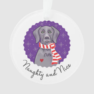 Naughty and Nice Ornament