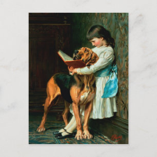 Naughty Boy or Compulsory Education Postcard