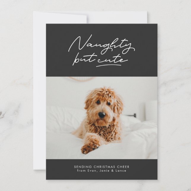 Naughty but cute funny Christmas pet photo card (Front)