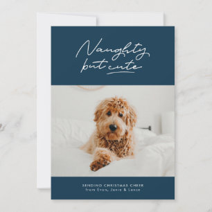 Naughty but cute funny holiday photo card