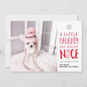 Naughty But Nice Pet Photo Holiday Card