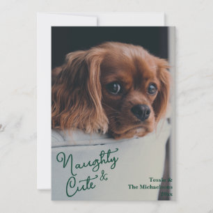 Naughty & Cute Pet Photo Holiday Card