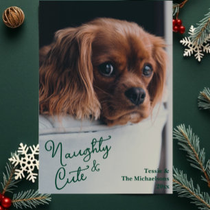 Naughty & Cute Pet Photo Holiday Card