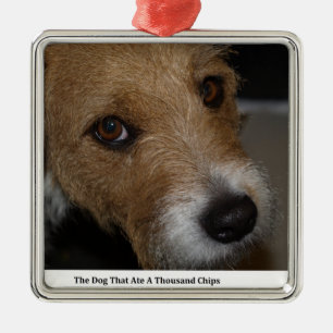 Naughty Dog Ate The Chips Bad Dog Ate The Cheese Metal Ornament