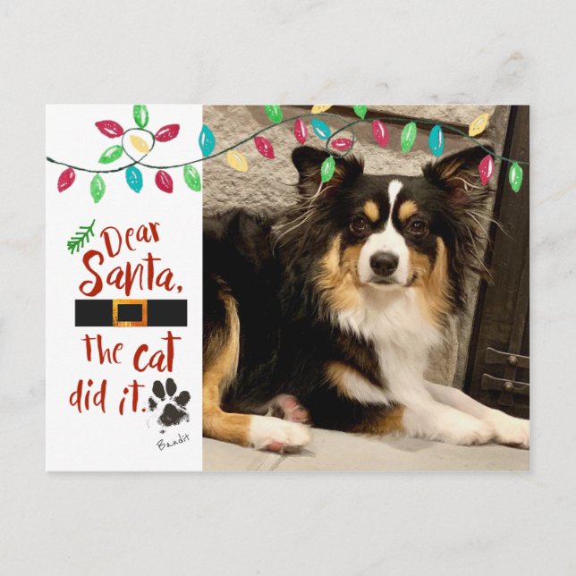 Naughty Dog Funny Dear Santa Letter Photo Dog Name Holiday Postcard (Front)